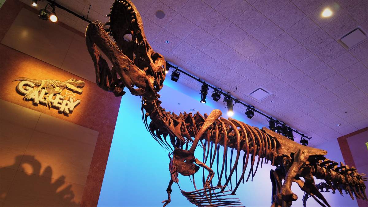 Saskatchewan, "a prehistoric hotspot."