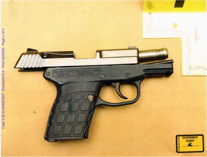 The firearm Pascale Ferrier was allegedly carrying when she was arrested at the U.S. border on Sept. 20, 2020.