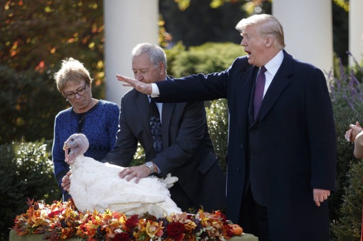 Trump turkey pardon 2018 | News, Videos & Articles