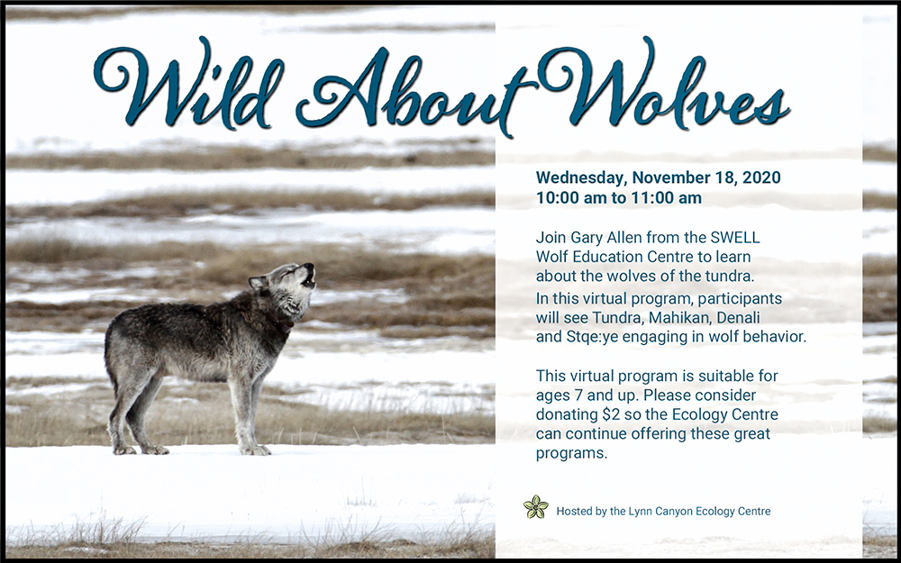 Wild About Wolves - image