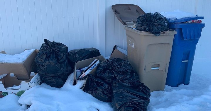 Regina’s Heritage residents calling on city for adequate garbage cleanup