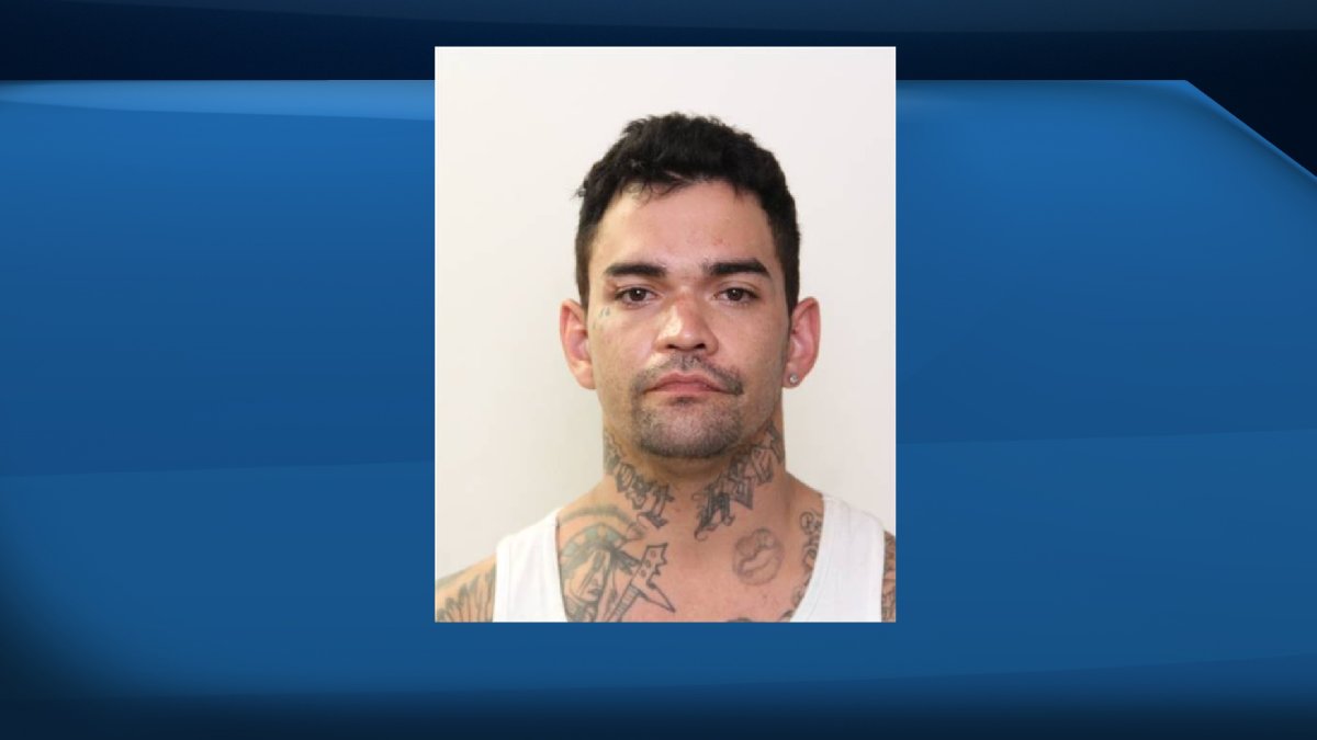Kerry McLachlan, 33, of Edmonton, is wanted on more than 30 warrants for various offences.