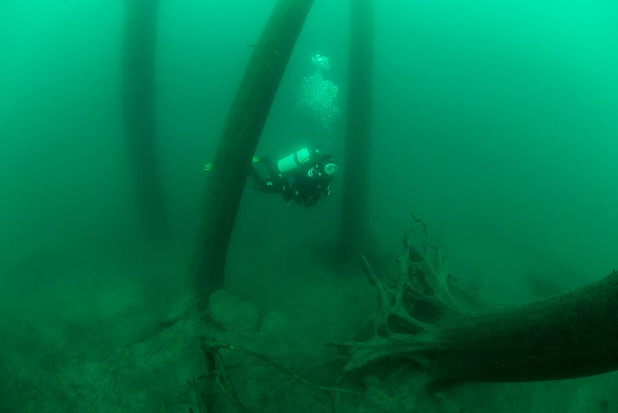 This file photo shows a scuba diver in the underwater forest beneath Lake McDonald in Glacier National Park, Montana.