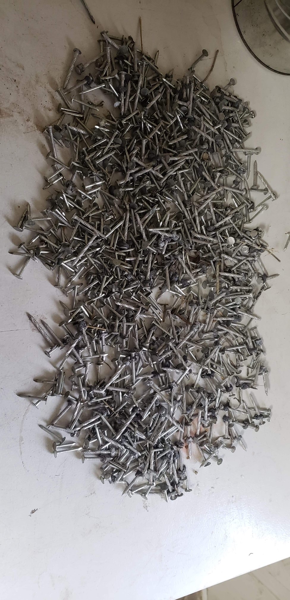 LaFortune says he’s filled a gallon bucket half full with nails and screws in the last week alone.