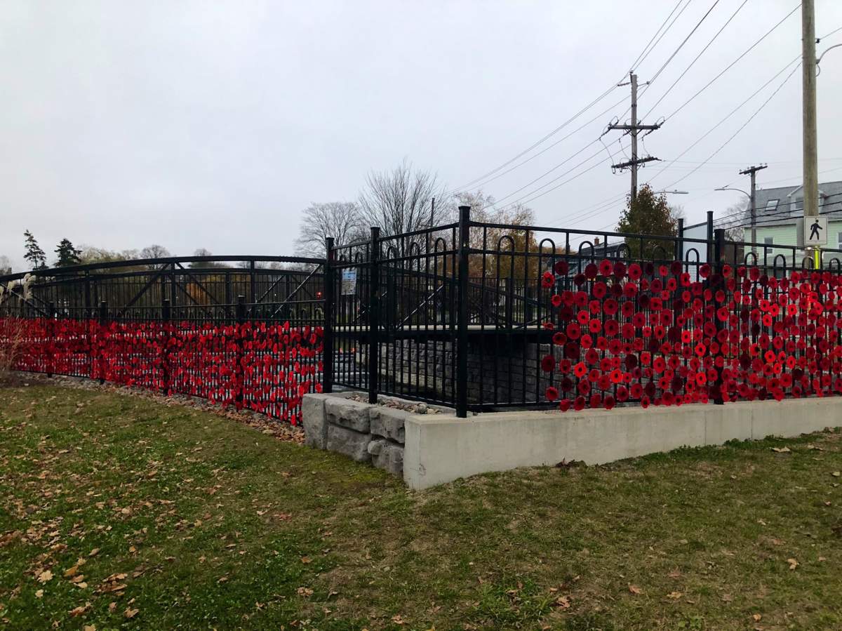 Remembrance Day poppy project displayed at Sullivan’s Pond Park in Dartmouth