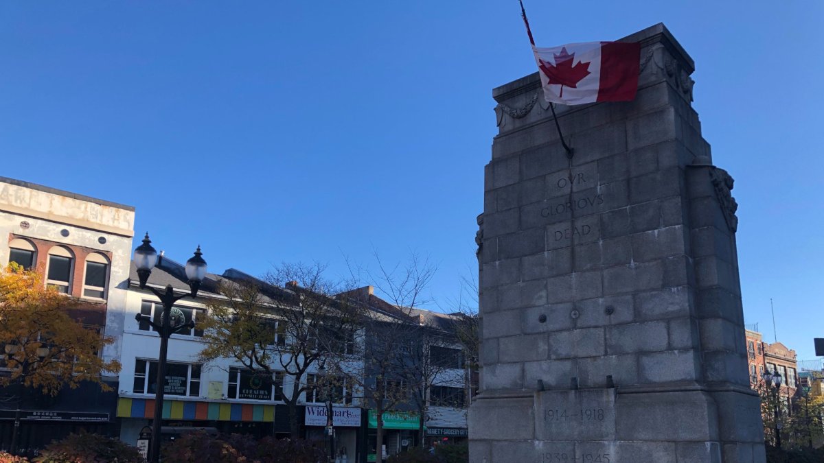 Hamilton City Council has accepted an apology from a member of the city's veterans committee, after a code of conduct violation.  