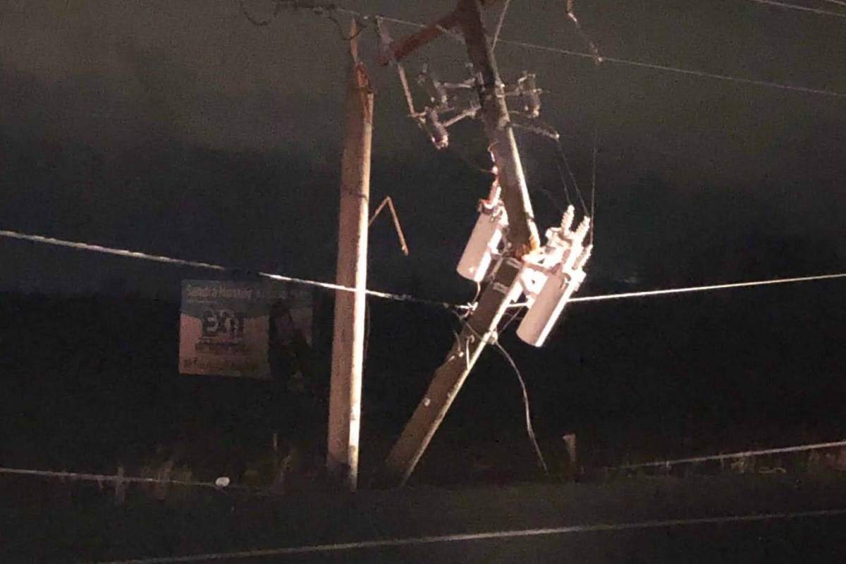 High winds close roads, knock out power at three Kingston schools - image