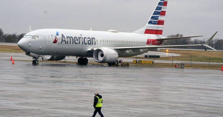 Plane diverted after passenger assaults American Airlines flight attendant