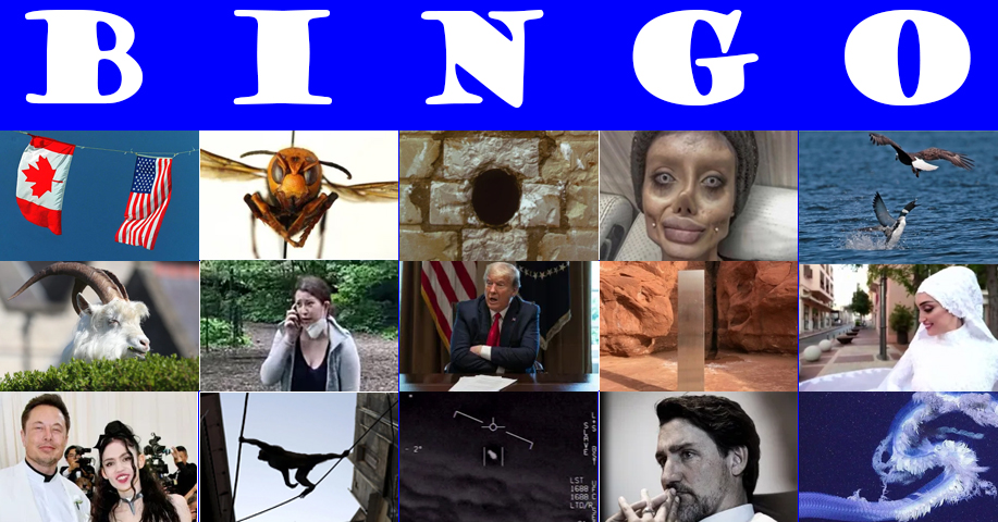 The 2020 bingo card Top viral stories from a truly bizarre year pic