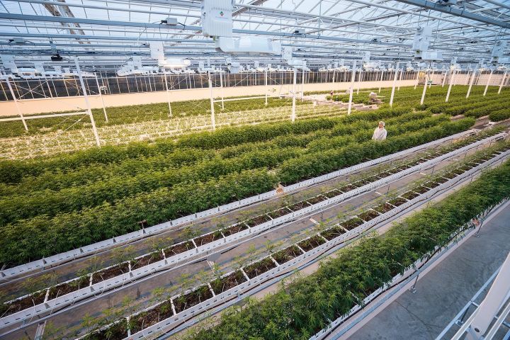 Aurora Cannabis to close Aurora Sky facility in Edmonton
