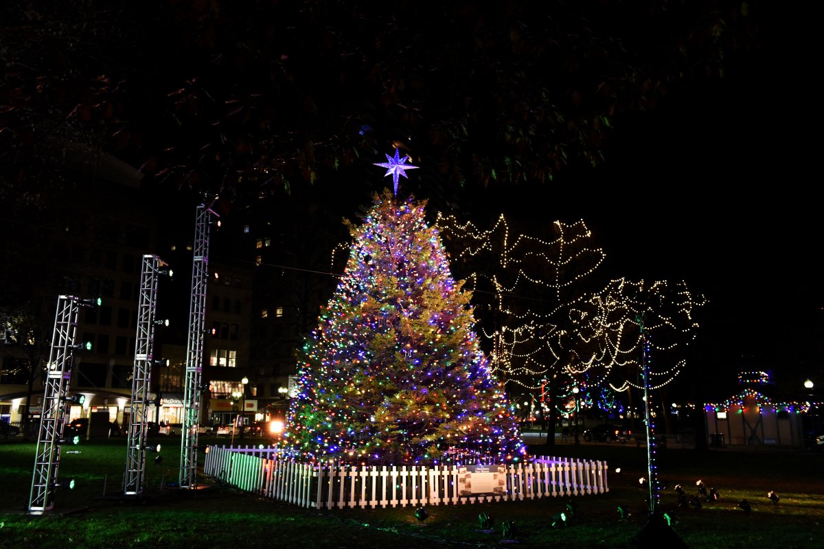 Nova Scotia's Tree for Boston lit up at the Boston Common in a virtual ceremony Thursday night.