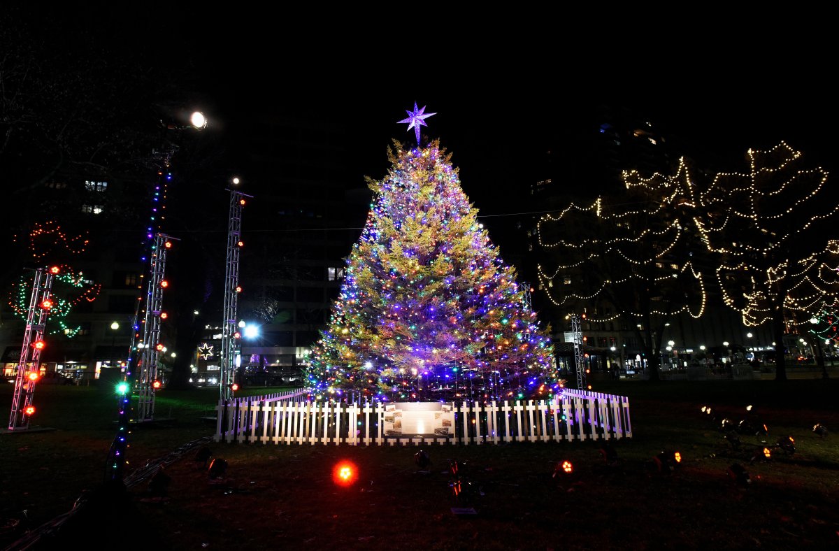 Nova Scotia’s Tree for Boston lit up at the Boston Common in a virtual ceremony Thursday night.