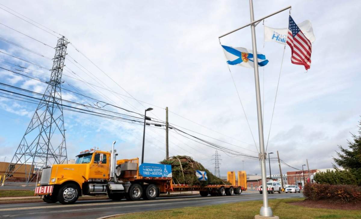 Nova Scotia’s Tree for Boston has arrived in the Boston Common and will be lit in a virtual ceremony on Thursday night.