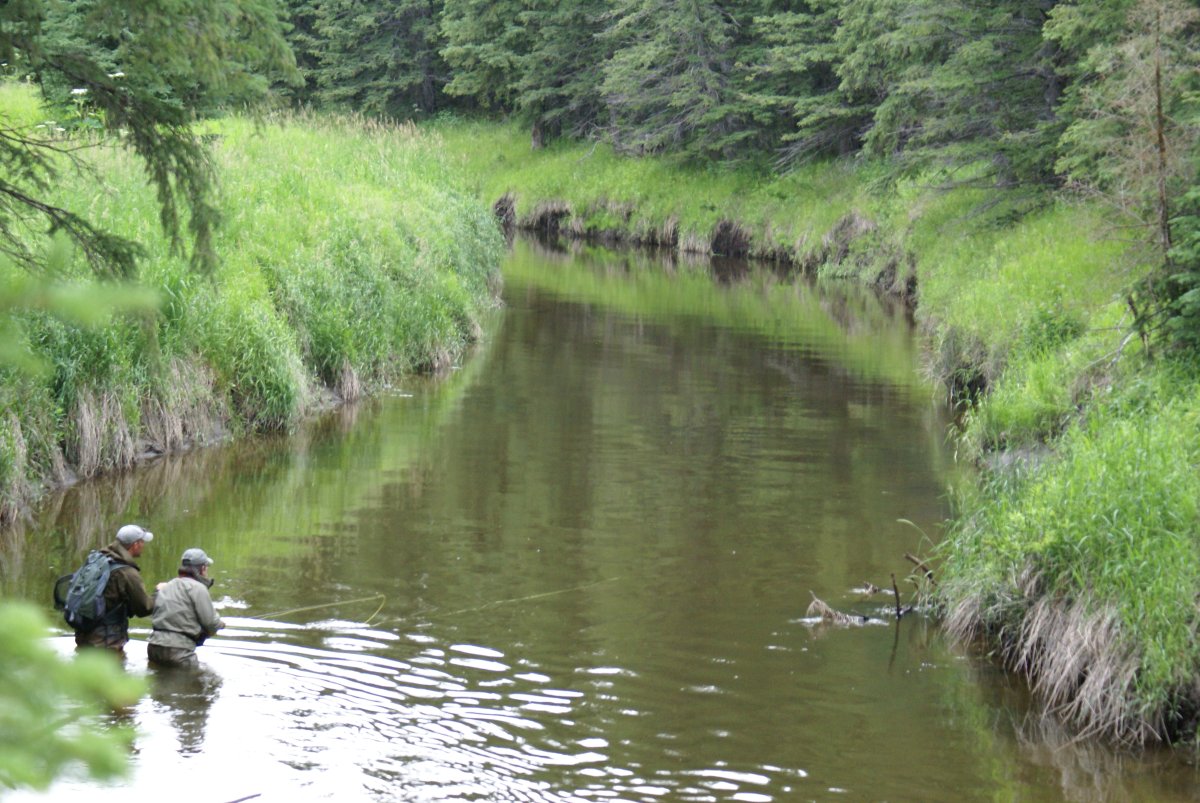 Anglers are seen casting for trout in a 2020 handout photo, on Alberta's North Raven River. One of Alberta's largest grassroots conservation groups is to plead this week for the protection of a much-loved river from gravel mines it fears will damage a world-class trout fishery and undo years of work.