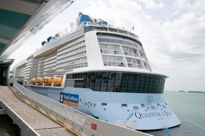 ‘Cruise to nowhere’ returns to Singapore after coronavirus case detected onboard