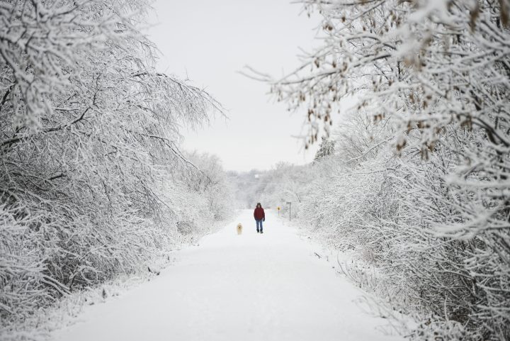 A person walks their dog along the Ottawa Valley Rail Trail in Mississippi Mills, Ontario on Tuesday, Dec. 31, 2019., following a snow and ice storm.
