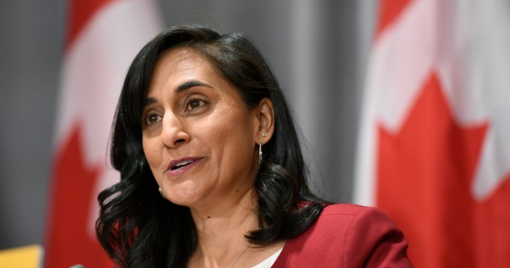 Canada considering increasing military presence in eastern Europe: Anand