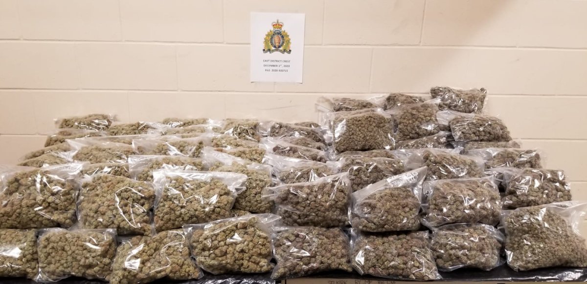 Cannabis seized by Manitoba RCMP Dec. 1.