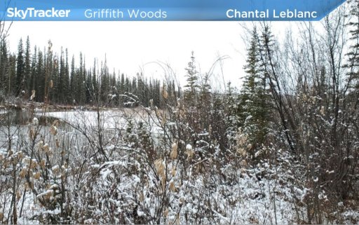 Chantel Leblanc said she had a beautiful walk in Griffith Woods over the weekend. 