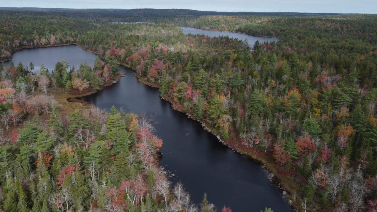Aerial shot of Blue Mountain Wilderness Connector (Credit: A for Adventure).