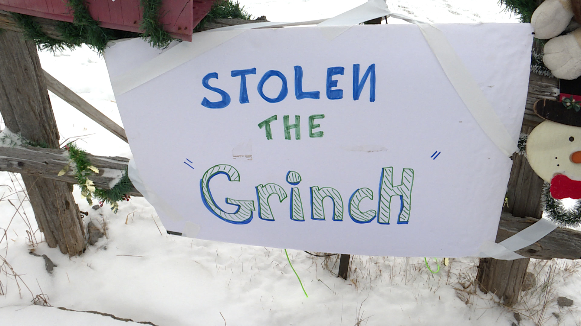 Bath, Ont. Woman Says Real-life Grinch Stole Life-size One From Her ...