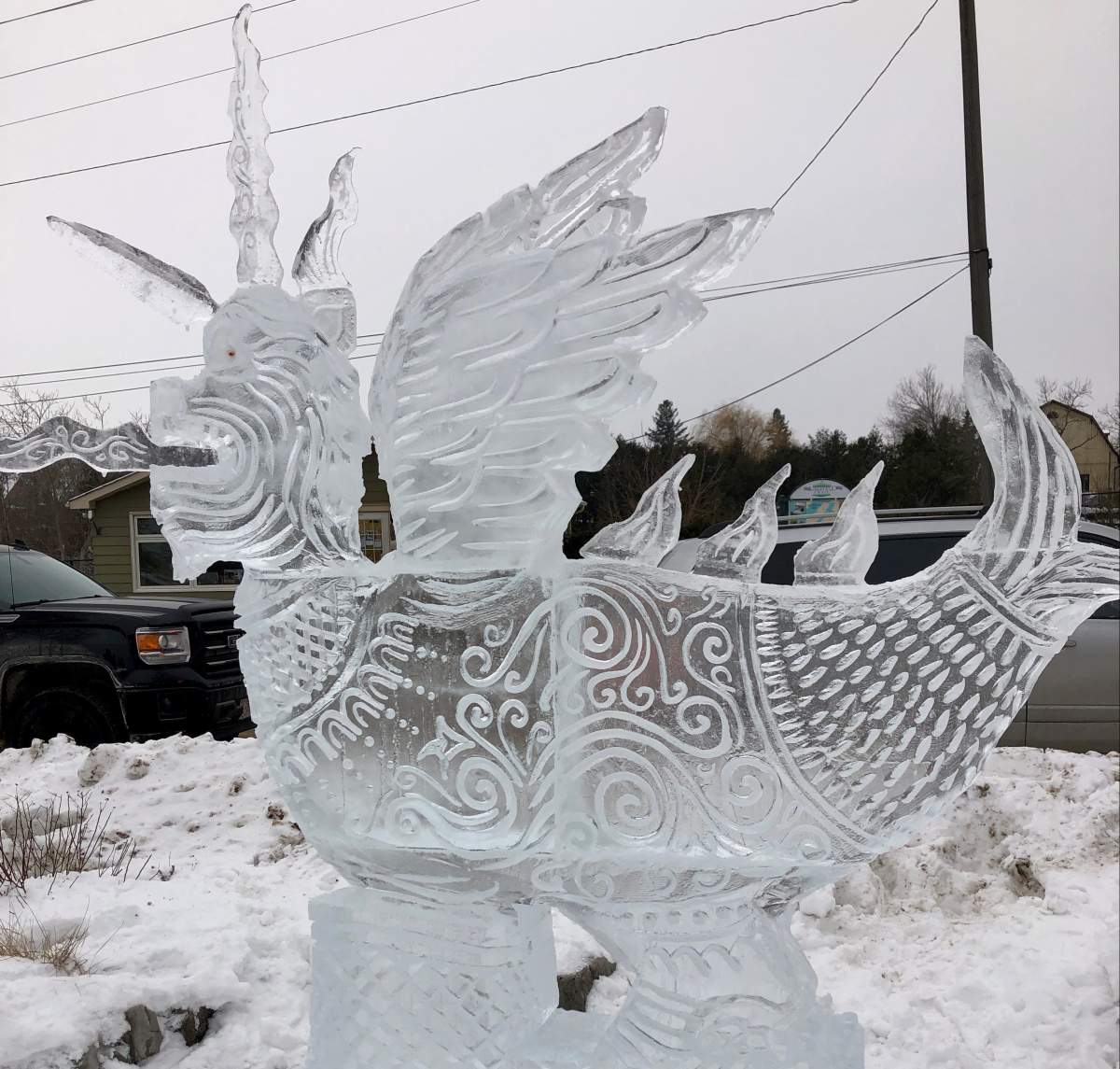 The popular PolarFest in Selwyn Township has been cancelled for February 2021 due to the coronavirus pandemic. 