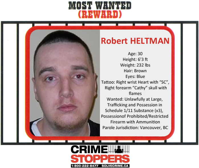 A Crime Stoppers mug shot of Robert Heltman.