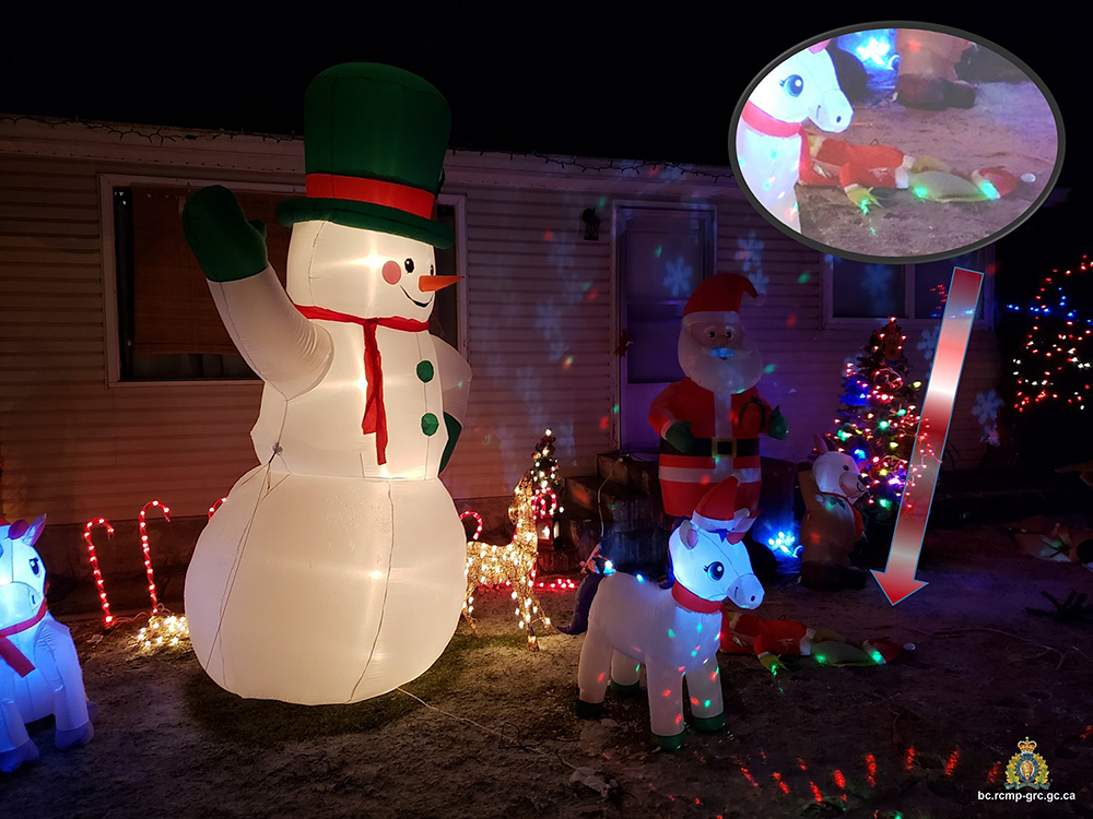 A photograph showing the alleged stolen Christmas decorations. The inflatable Grinch is shown face down.