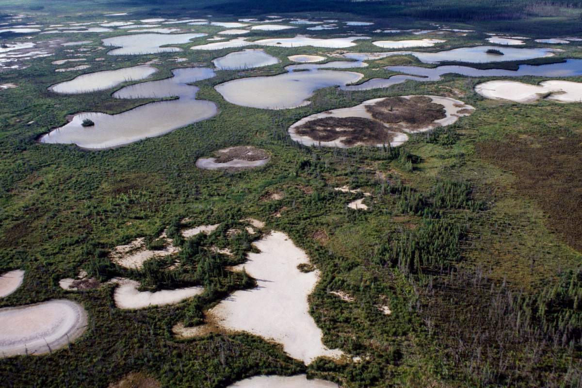 A salt plain at Wood Buffalo National Park.