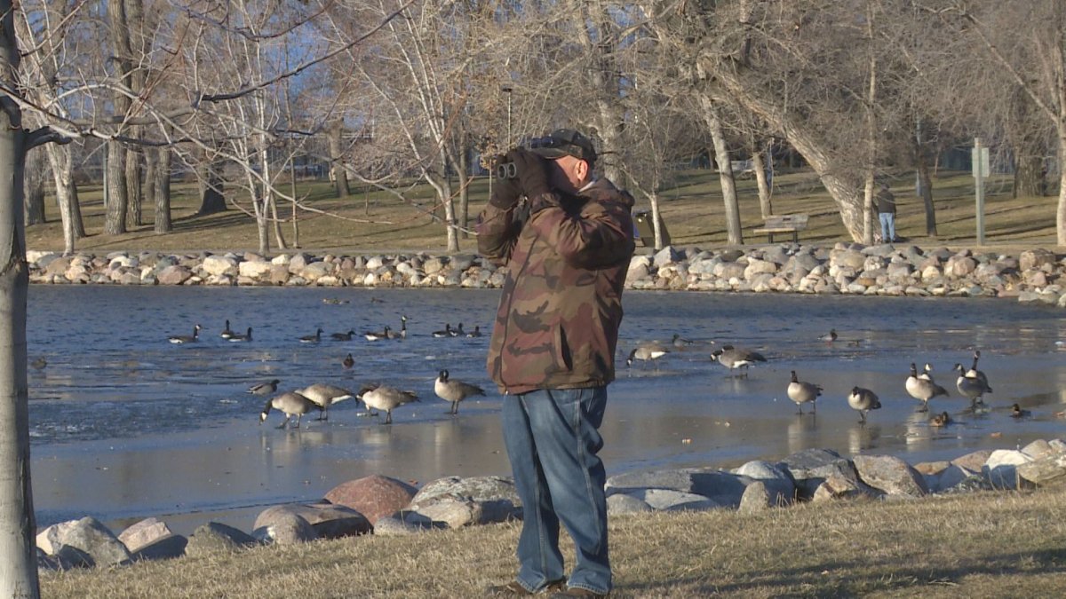Ken Orich at Henderson Lake on December 19, 2020 for the Annual Christmas Bird Count. 