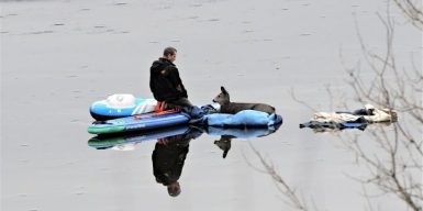B.C. man witnesses daring deer rescue