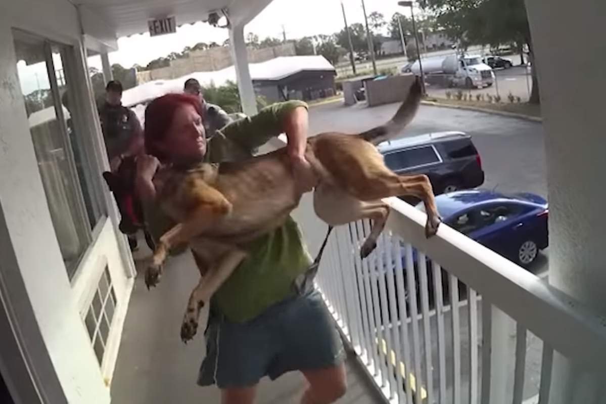A suspect is shown just before tossing a dog over the railing of a motel in Daytona Beach, Fla., in this image from police bodycam video.