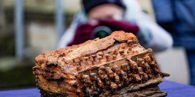 Divers recover legendary Nazi Enigma machine from Baltic Sea floor