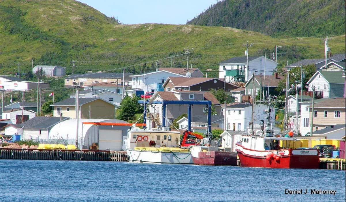 COVID-19 lockdown isn’t easy, but these small Newfoundland towns are pulling it off - image