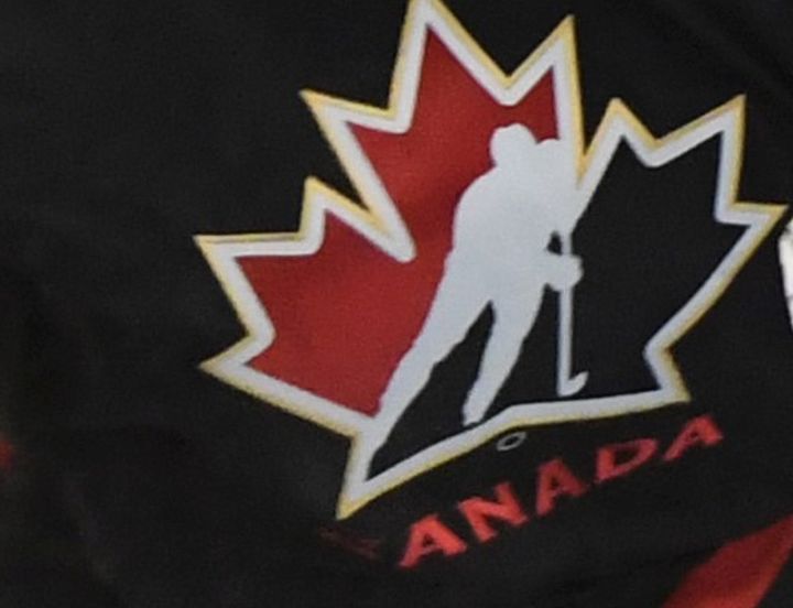 Hockey Canada chose 25 players Friday to represent the host country at the world junior hockey championship in Edmonton.