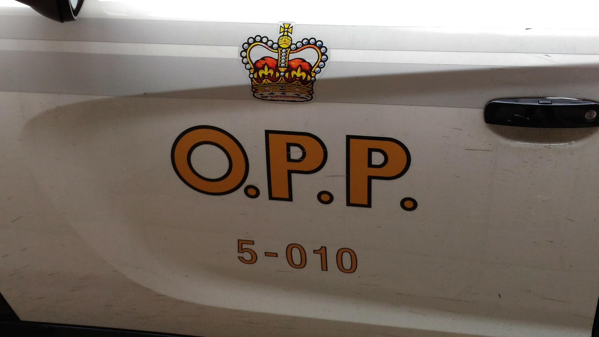 Distressed swimmer dies after being pulled from Crowe River: Peterborough County OPP thumbnail