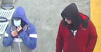 Calgary police are looking to identify these two people, believed to have attacked an elderly woman and stolen her purse on Nov. 24.