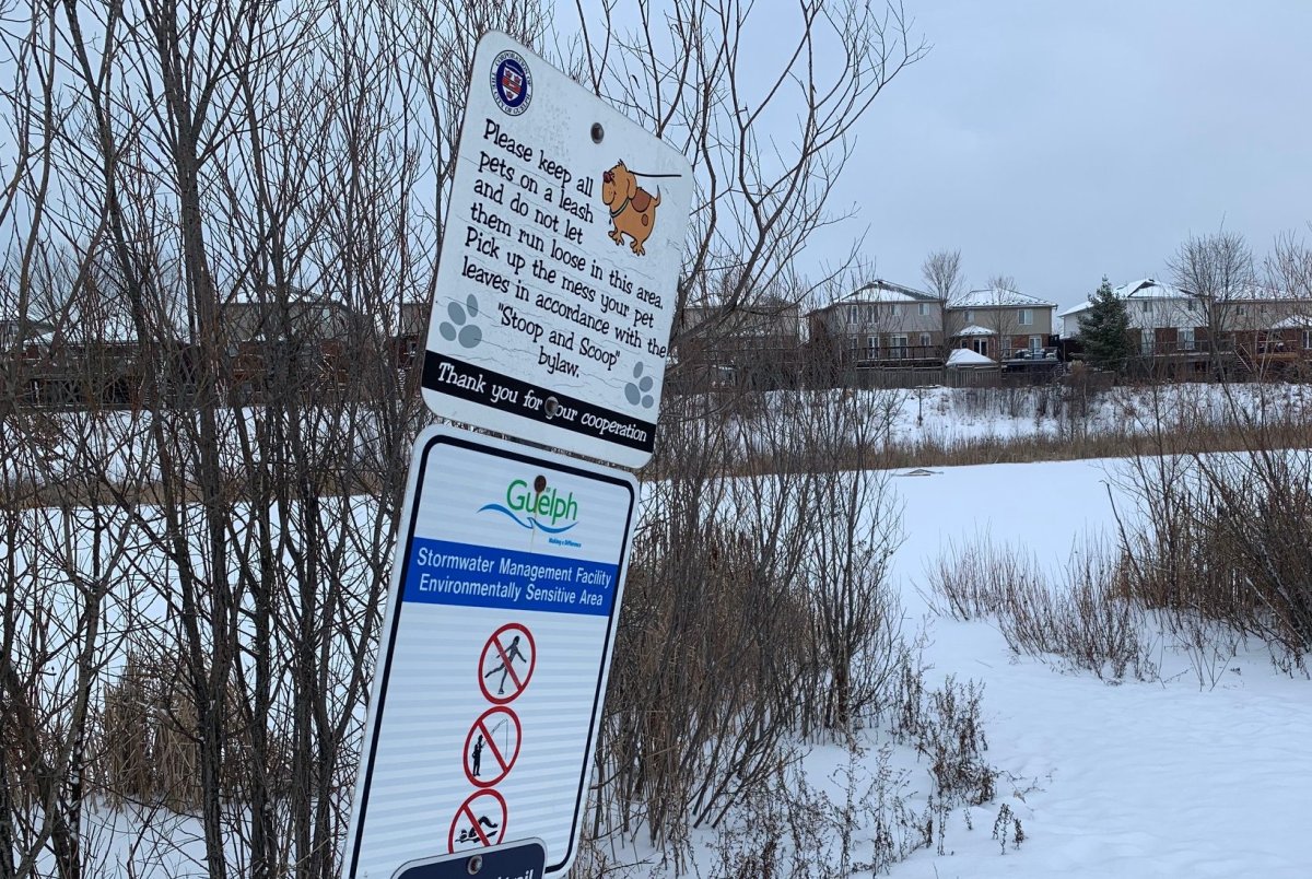 Guelph police say they received a report of skaters on the cracking ice of a stormwater pond. 