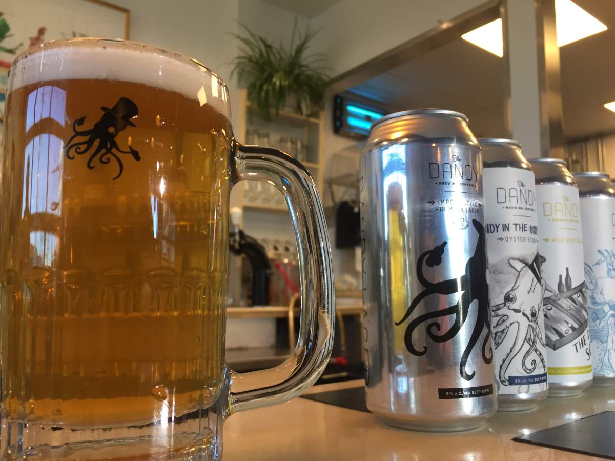 Beer glass at Dandy Brewing Company.