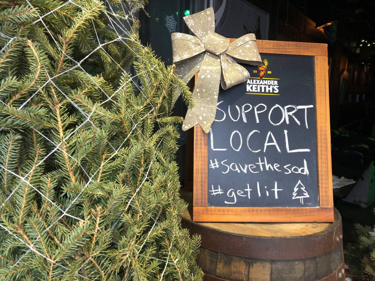 The Old Sod has been selling Christmas trees to try to help pay the rent. Now it’s hoping a GoFundMe campaign will pick up the slack.