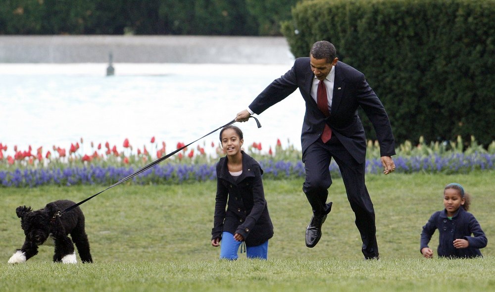 In this April 14, 2009, file photo President Barack Obama is almost jerked off his feet as he shows off their new dog Bo, a 6-month-old Portuguese water dog with his daughters Malia, left, and Sasha Obama, right, on the South Lawn of the White House in Washington.