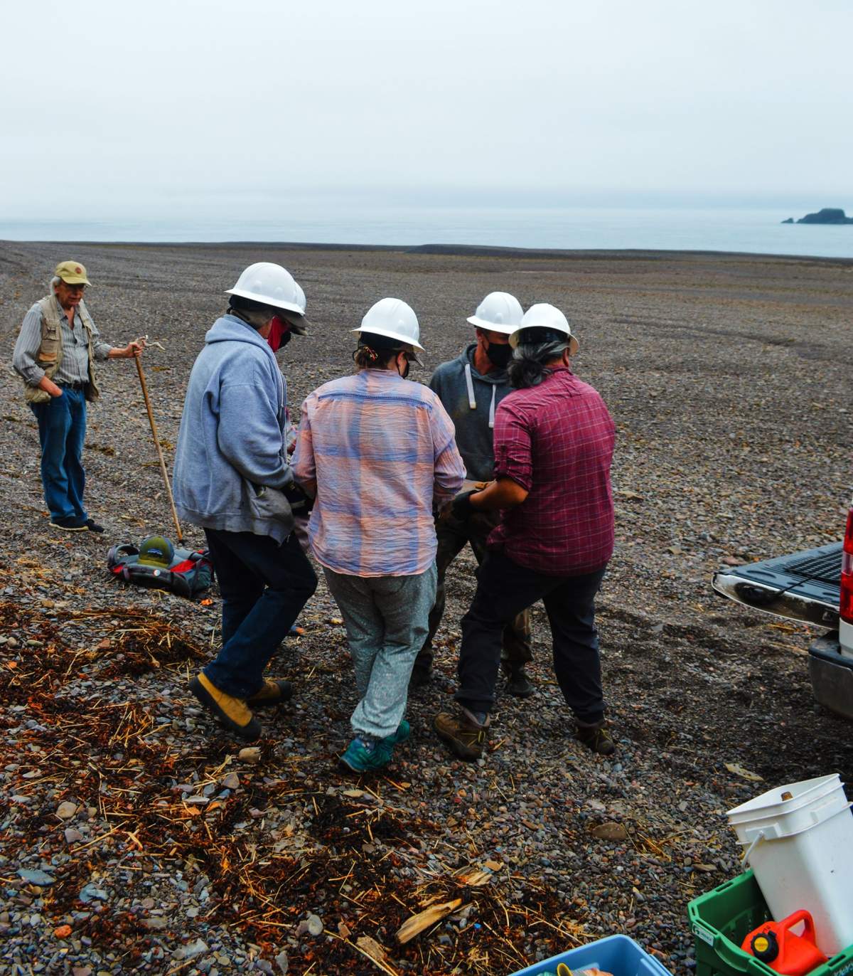 Fundy Geological Museum studying evidence of ancient life found along the Parrsboro Shore - image