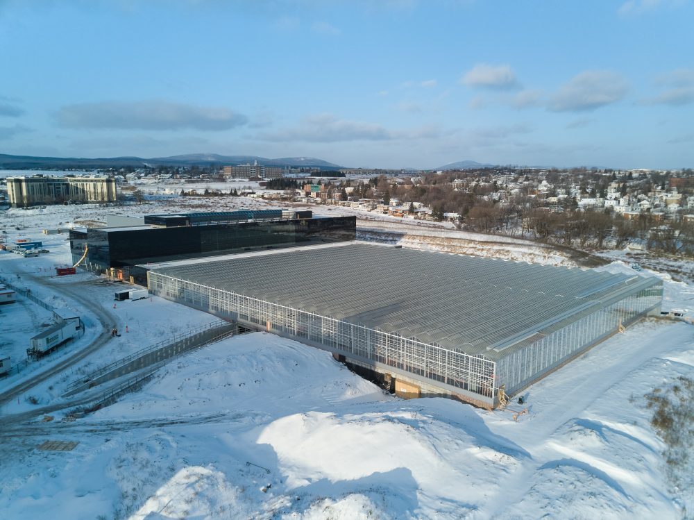 Medicago’s commercial-grade production plant on the north-east side of Quebec City is expected to be complete in late 2023, early 2024.