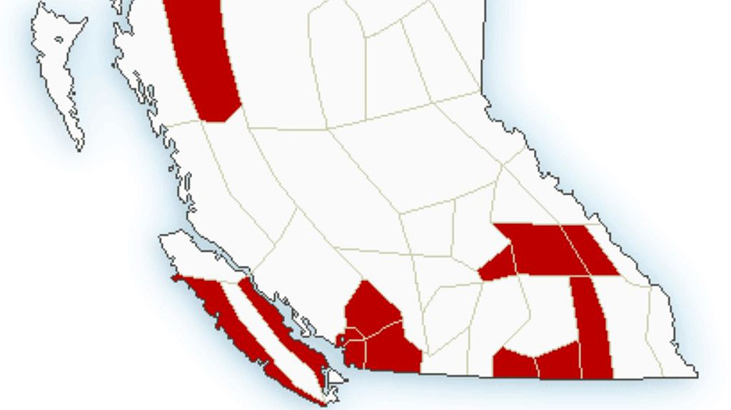 Environment Canada says Rogers Pass will see near 35 centimetres of snow by early Sunday morning, while Kootenay Pass could see 45 cm.