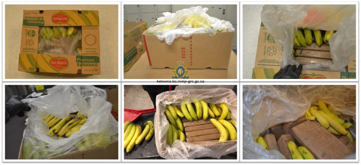 Kelowna RCMP say around 20 kilograms of cocaine has been seized from two banana shipments from Colombia.