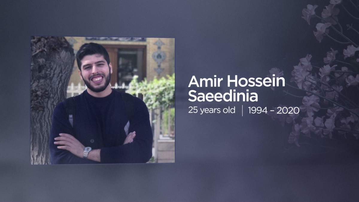 Iran plane crash, one year later: 13 victims with ties to Edmonton remembered as brilliant, loving - image