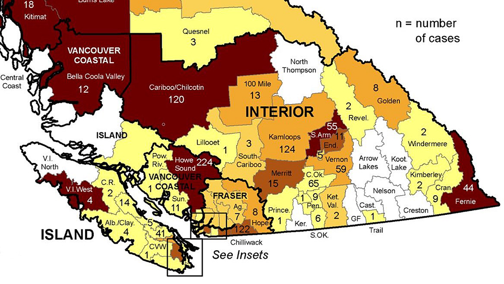 A map showing confirmed coronavirus cases by local health areas throughout B.C., during the week of Jan. 17-23, 2021.