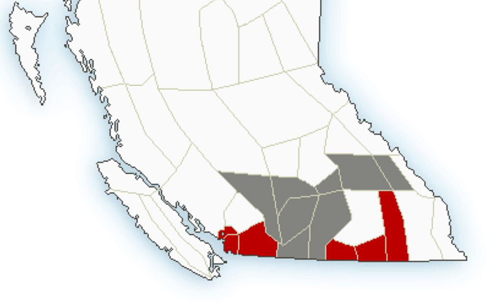 Environment Canada says a vigorous Pacific frontal system will bring significant snow to some areas in B.C.’s Southern Interior by Wednesday morning.