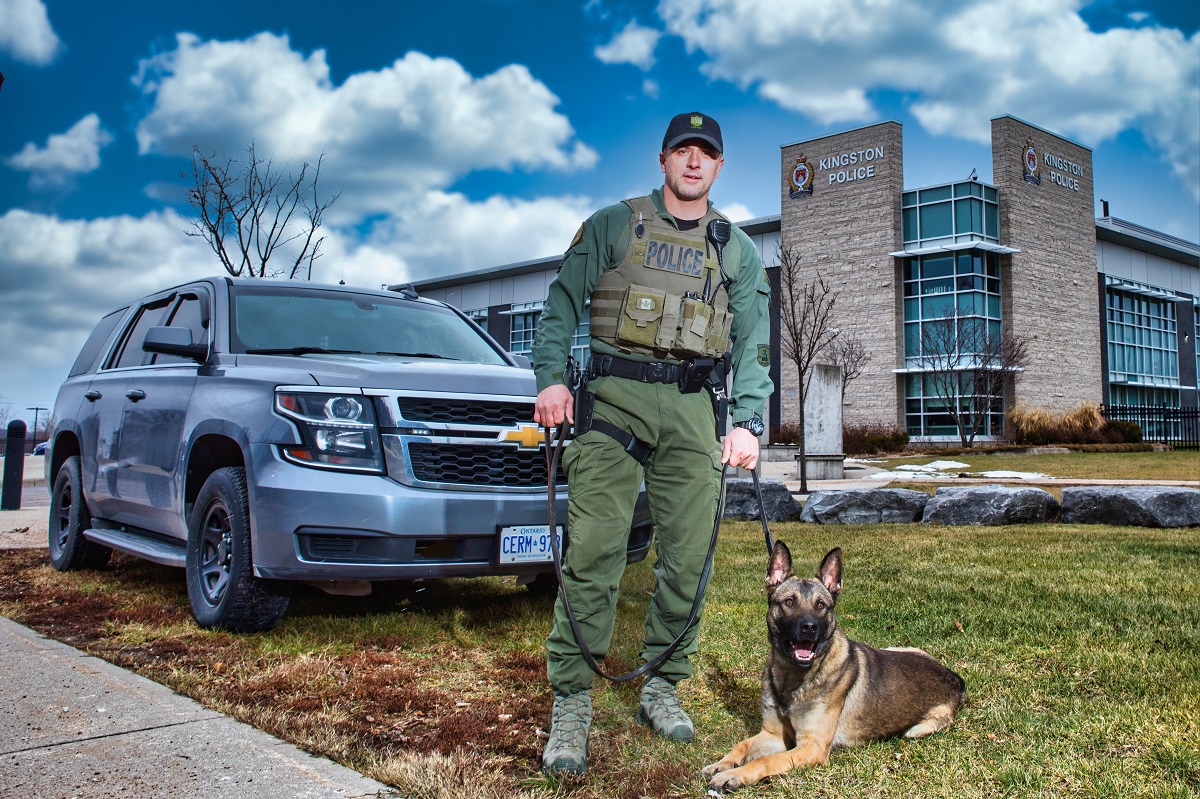 Kingston police welcome new service dog, Dak - Kingston