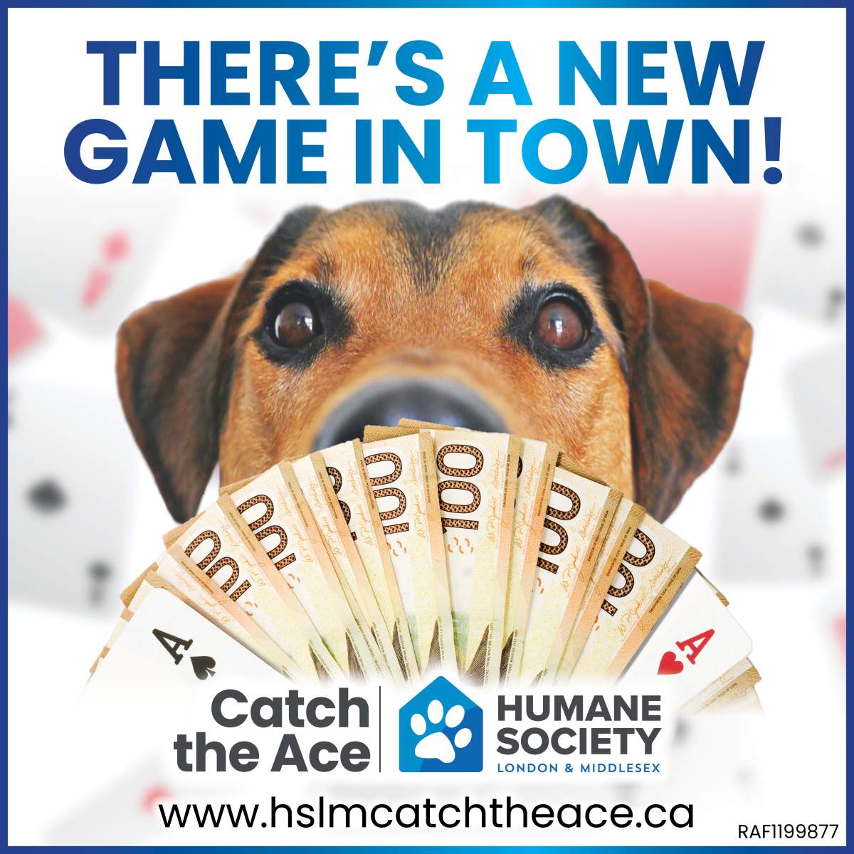 Humane Society London & Middlesex’s Catch the Ace - image